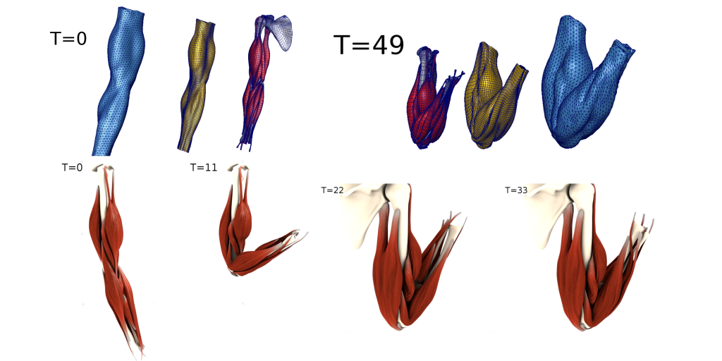 VFX Works and Publications
